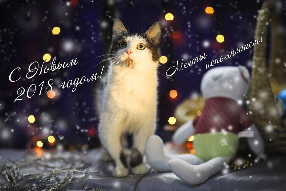 Открытка № 14, Малыш