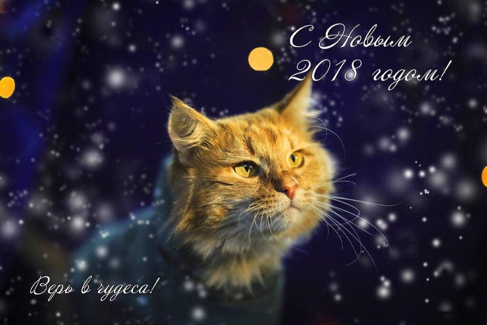 Открытка № 4, Рудик