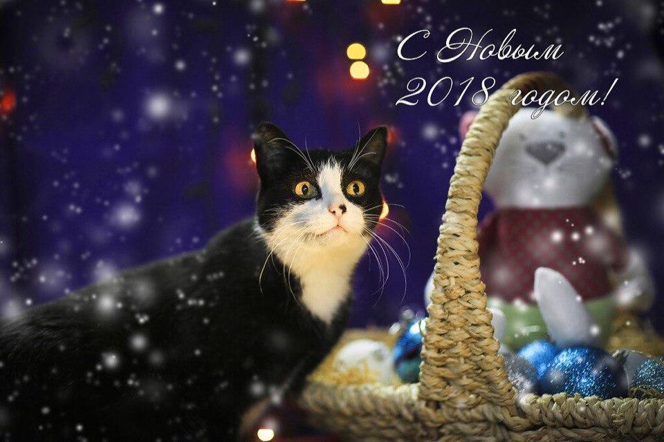 Открытка № 16, Гриша