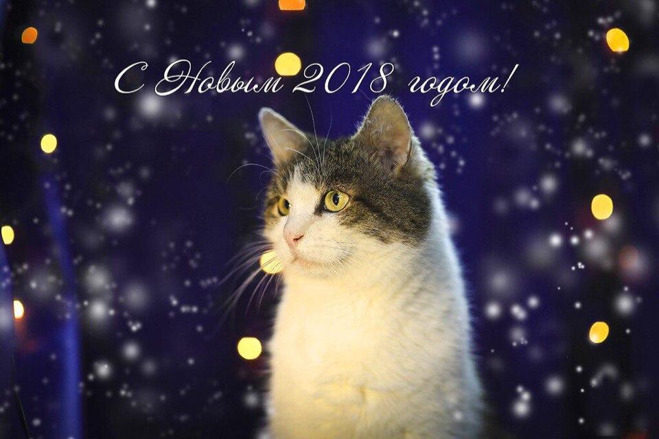 Открытка № 11, Вова