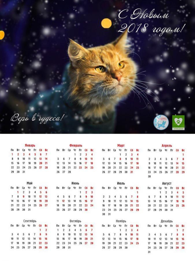 Настенный календарь #6