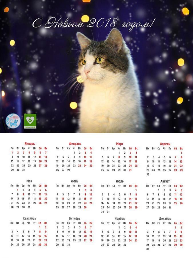 Настенный календарь #3