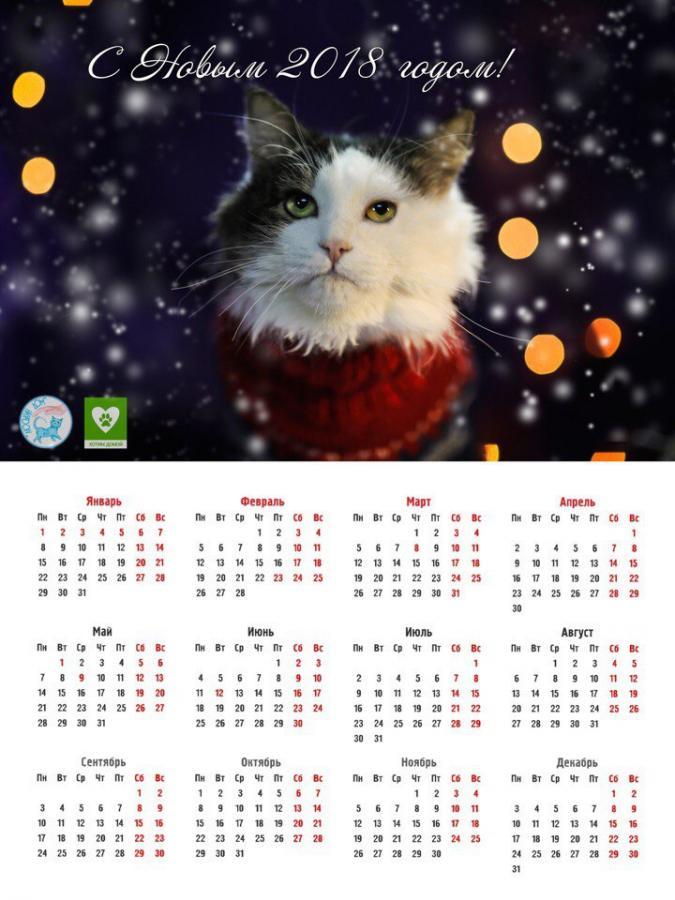 Настенный календарь #5