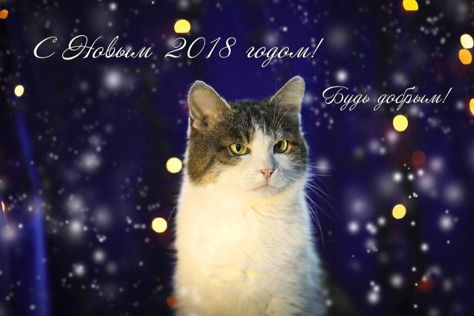 Открытка № 12, Вова