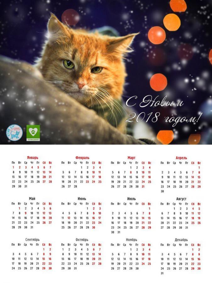 Настенный календарь #7