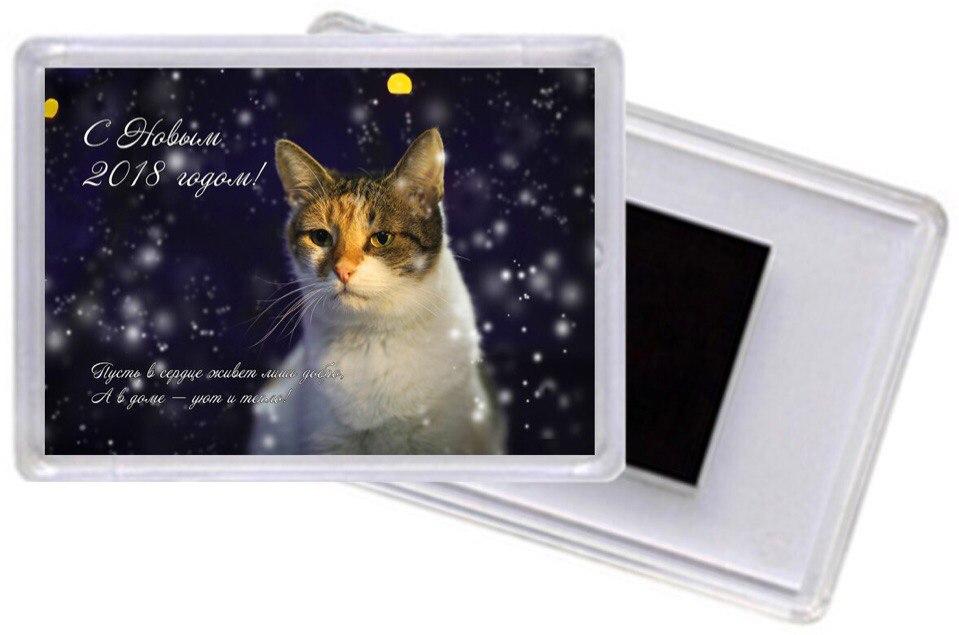 Акриловый магнитик #5, Клюковка