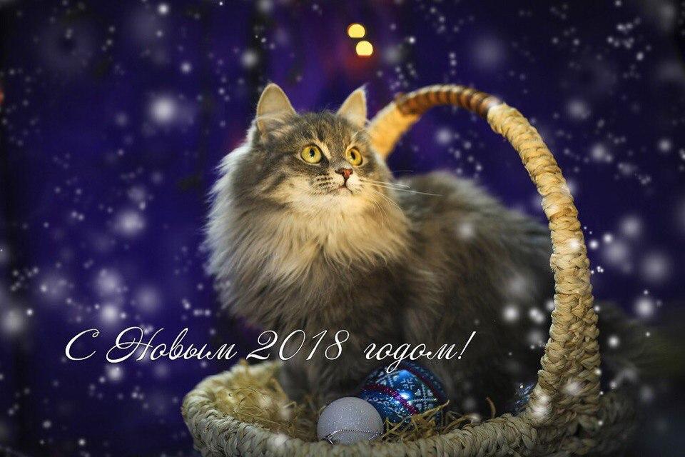 Открытка № 13, Зина