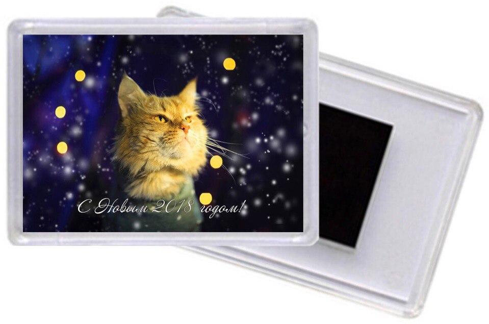 Акриловый магнитик #4, Рудик