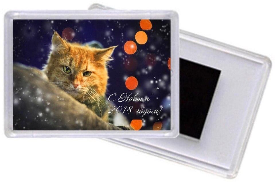 Акриловый магнитик #2, Рудик