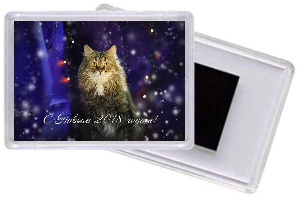 Акриловый магнитик #9, Мартин