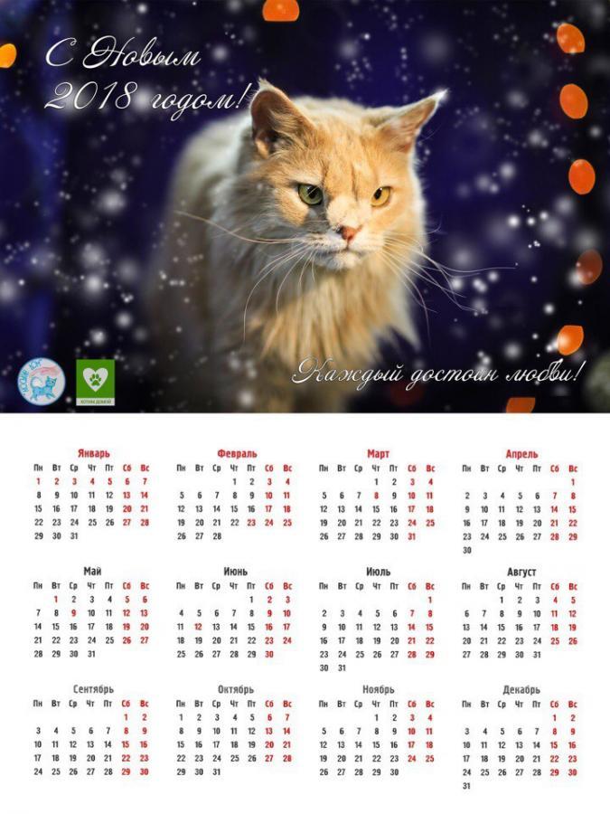 Настенный календарь #8