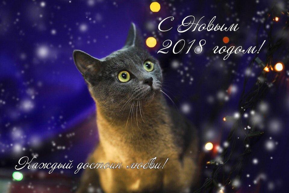 Открытка № 15, Зося