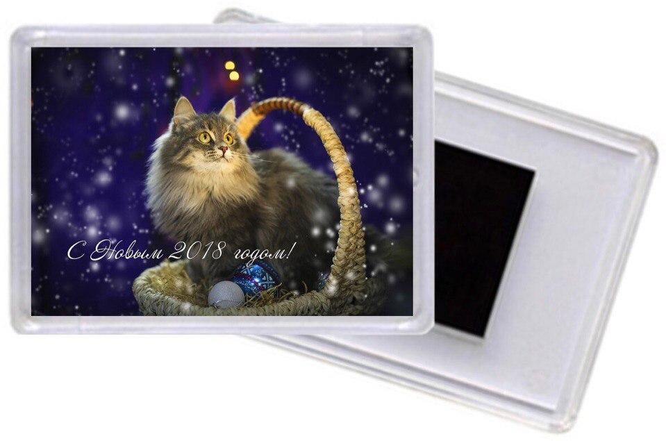 Акриловый магнитик #13, Зина