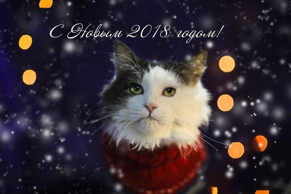 Открытка № 7, Миша