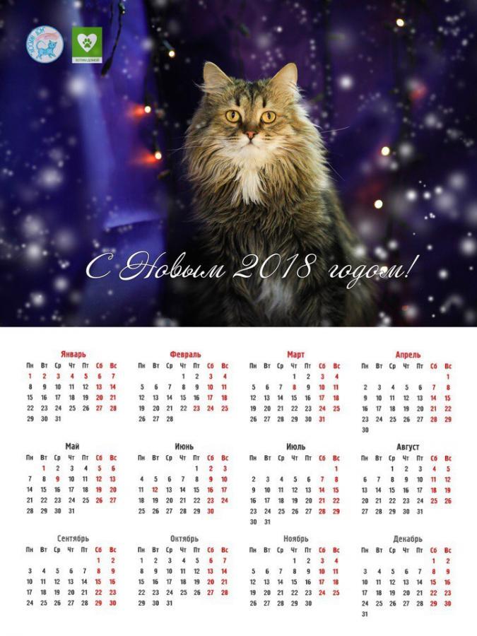 Настенный календарь #4