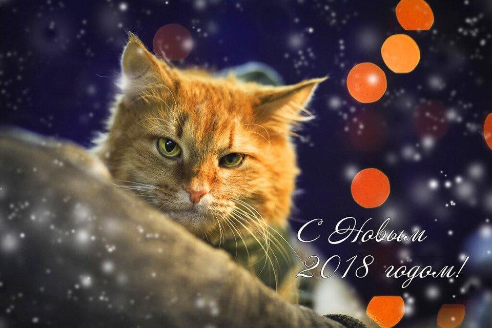 Открытка № 2, Рудик