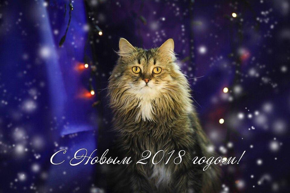 Открытка № 9, Мартин