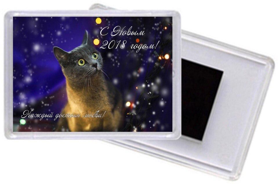 Акриловый магнитик #15, Зося