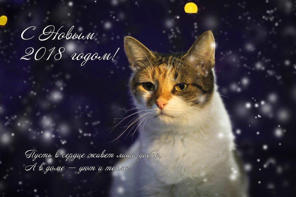 Открытка № 6, Клюковка