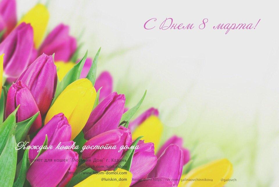 Обратная сторона открытки